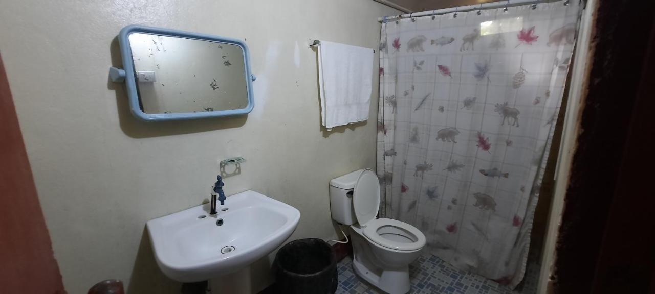 Tropical Dreams Hostel South End Екстер'єр фото