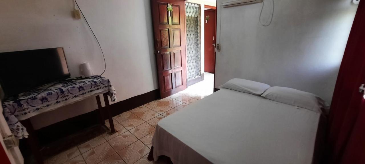 Tropical Dreams Hostel South End Екстер'єр фото