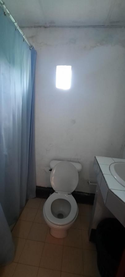 Tropical Dreams Hostel South End Екстер'єр фото