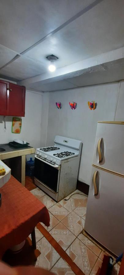 Tropical Dreams Hostel South End Екстер'єр фото